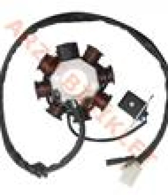STATÖR 8'Lİ SCOOTER [OEM KALİTE]-52816