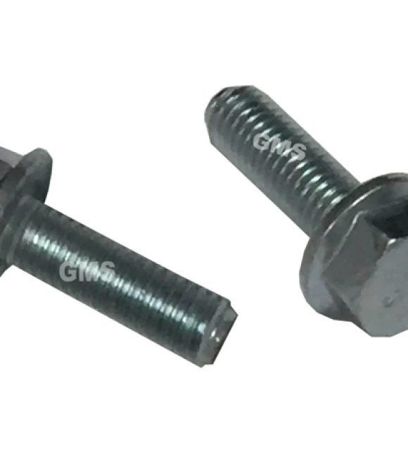 ÖN BASAMAK DEMİR VİDASI-CG1181