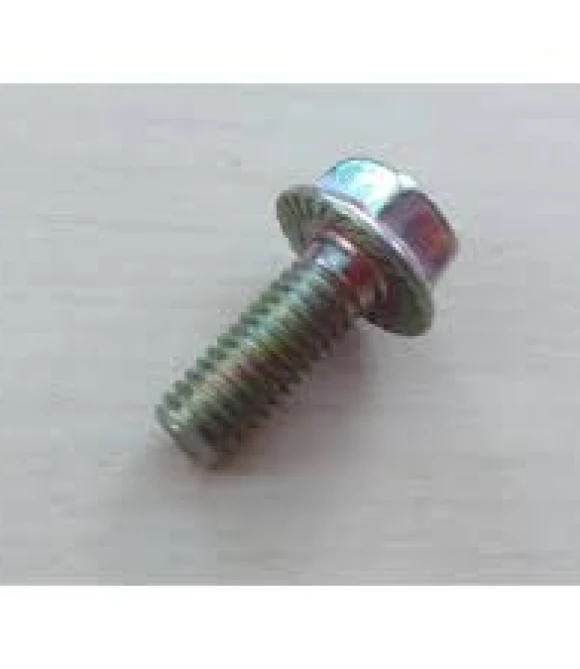 CG CAMURLUK VİDASI-M6-455