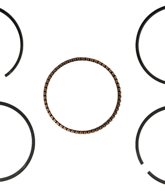 SEGMAN SET 65,50MM INCE CG200-250-GMS6631-STD