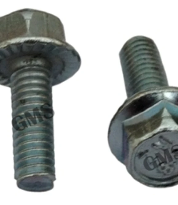 CG ÖN CAMURLUK VİDASI (M6)-CG1192
