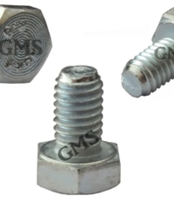 ÖN DISLI VIDA 6X10 CG-CUB-CG1191