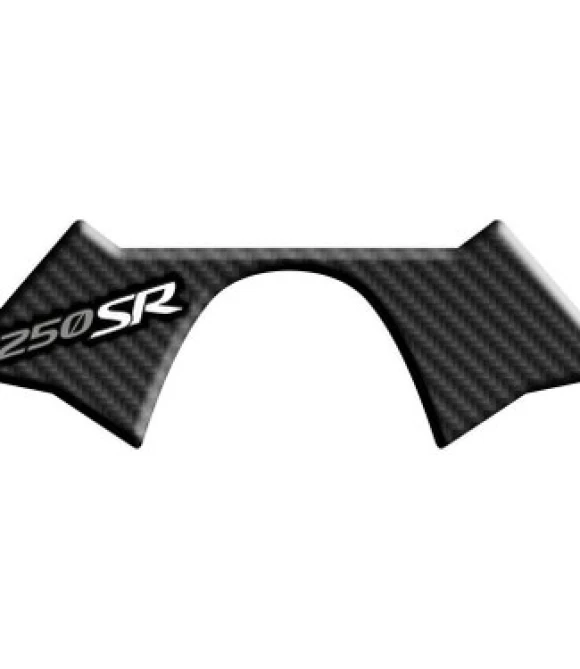 CF 250 SR DİREKSİYON MESNET PAD-250SRMP004