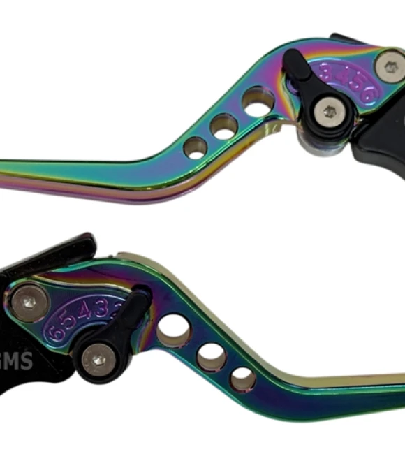 FREN KOLU AYARLI SAG-SOL SET RAINBOW CG-GMS6750-W