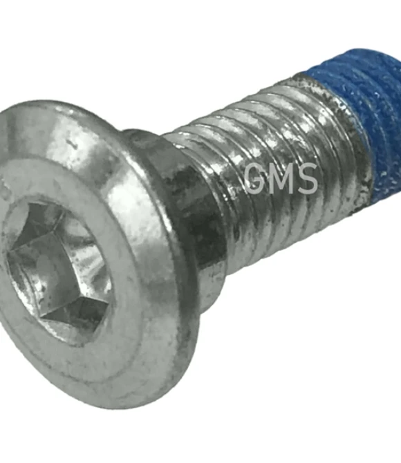 DİSK VİDASI M8 (GMS0714)